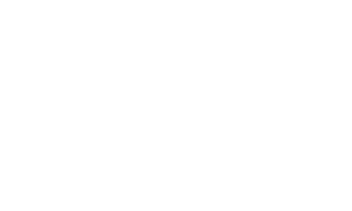 koza-11