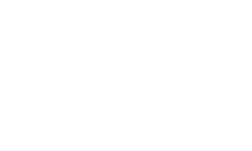 pegasus-11